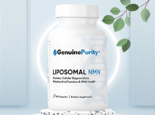 Best NMN Supplement Brands