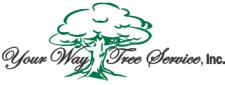 Your Way Tree Service