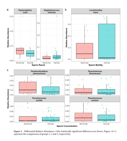 Study Unlocks New Hope in the Battle Against Male Infertility