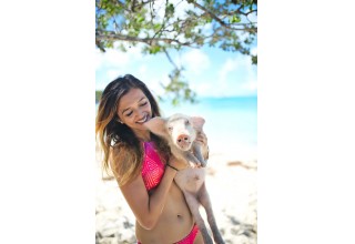 One of the big brothers of the piglets