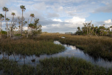 Fort Island Trail - Credit Sara Sheehy