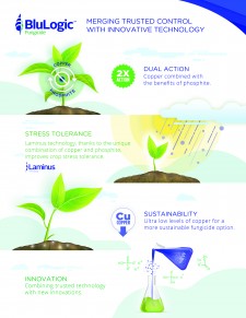 BluLogic Infographic