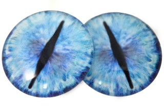 Ice Dragon Glass Eyes