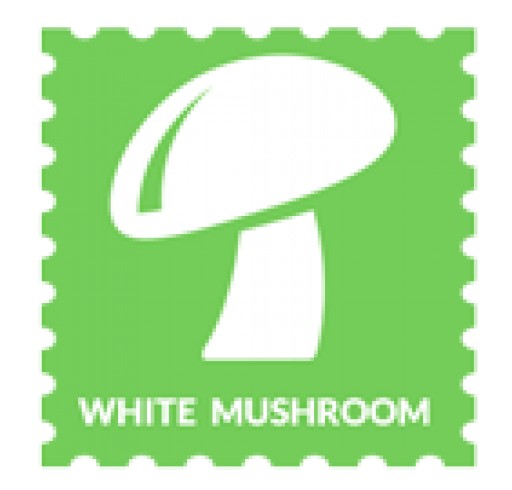 White Mushroom Ranthambore Offering Three Types of Vacation Rentals at Competitive Prices