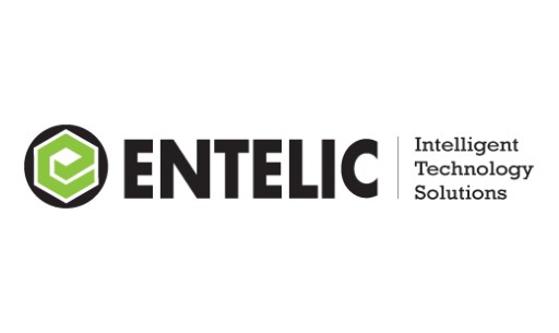 Entelic Providing a Complimentary Cost Reduction Assessment for Businesses to Save Money and Keep Worry-Free IT New Year's Resolutions