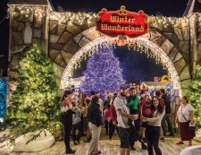 Winter Wonderland in downtown Clearwater, Florida