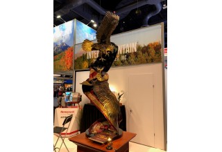 Reflections of America