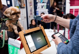 Pet Groomer Processing Credit Card
