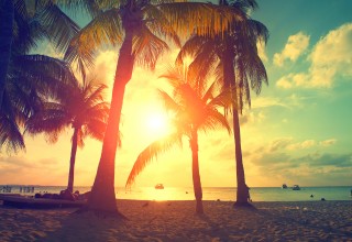 Tropic Sunset