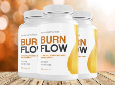 BurnFlow