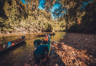 Discover the bountiful biodiversity that Brunei has to offer