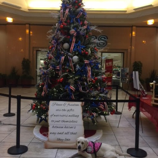 Diabetic Alert Dog Will Help Young Girl With Challenges of Living With Type 1 Diabetes in Clarksville, Tennessee