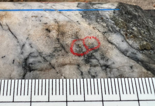 Mawson Gold Limited, Monday, November 21, 2022, Press release picture