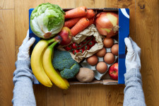 Food Rescue in North America