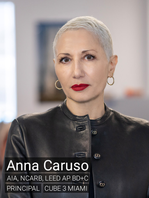 CUBE 3 Welcomes Anna Caruso as Principal