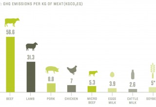 GHG Emission Micro Beef
