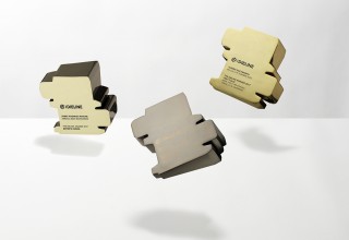 The Dieline Awards 2018 Trophy