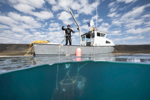 New Cohort of Startup Companies Supporting Ocean Health Selected for BlueSwell Incubator Program