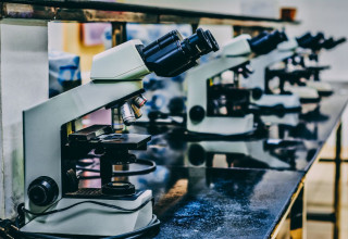 CBD Life Sciences Inc., Wednesday, March 17, 2021, Press release picture
