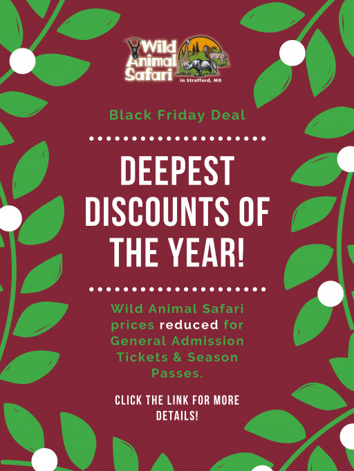 Wild Animal Safari Offers Black Friday Pricing