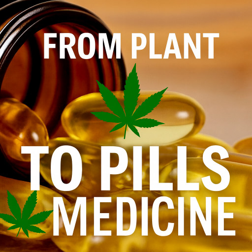 4/20 and the Future of Cannabis Medicine: Why Botanical Therapies Must Meet Real Scientific Standards