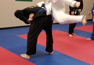 Jiu Jitsu Safety Mats