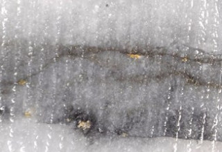 Mawson Gold Limited, Wednesday, December 14, 2022, Press release picture