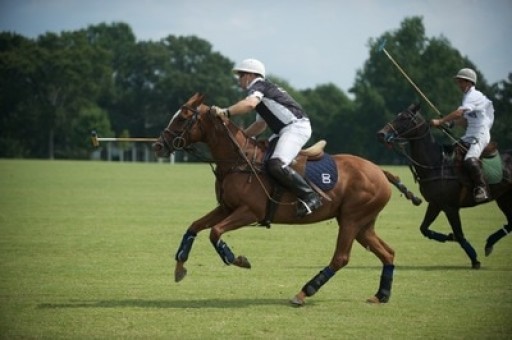 Southern Spring Farm Commences Summer Polo Season This Friday