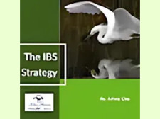 Blue Heron IBS Strategy Review
