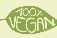 Cassandra Marsh, Cassandra Marsh Lincoln City, Cassandra Marsh Oregon