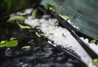 Hail Damage