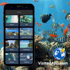 Most Popular Snorkeling Diving