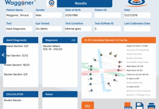 Waggoner CCVT Adult Diagnostic Results Page