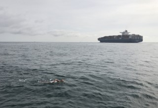 Abigail Bergman swimming across the English Channel