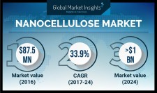 Nanocellulose Market Size to Exceed $1 Billion by 2024