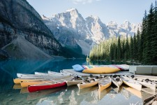 Apple, Rebecca Lily Pro Set IV