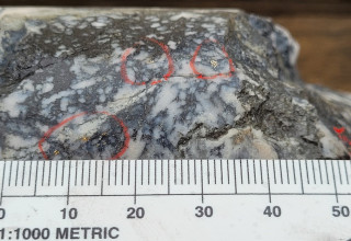 Mawson Gold Limited, Monday, November 21, 2022, Press release picture