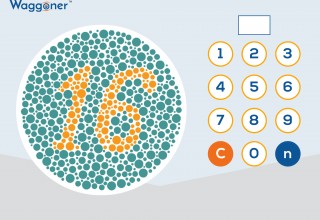 Waggoner CCVT Adult Test