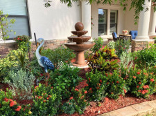 Fountainful Customer Photo