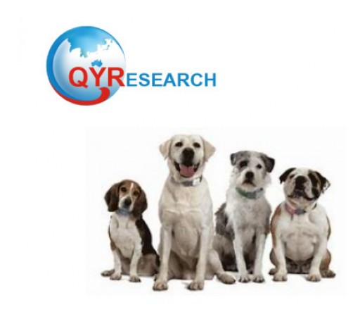 Wearables for Pets Upcoming Trends in the Next Few Years