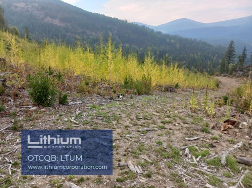 Lithium Corporation Strengthens Rare Earths Position with Approved Claims