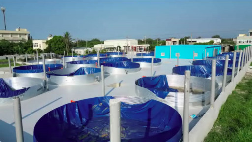 Nocera Takes Strides in Alabama Fish Farm and Expands its Aquaculture Initiatives in Asian Markets