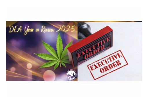 DEA Marijuana Year in Review 2025: President Trump Fixing DEA?