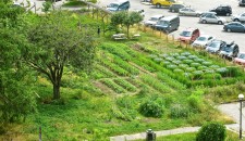 Andrew De Niese, Andrew De Niese Beverly Hills, Andrew De Niese Los Angeles,  Andrew De Niese Arrest