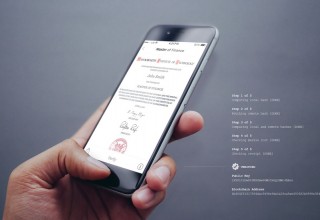 Blockchain Records in the Blockcerts Wallet