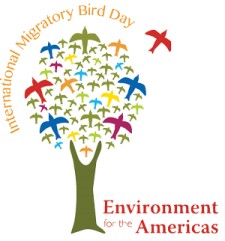 Environment for the Americas