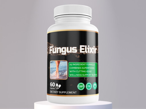Fungus Elixir Introduces 2025 Immune Optimization Protocol Using Shiitake, Reishi, and Maitake
