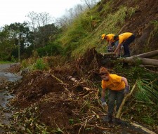 Scientology Volunteer Ministers Puerto Rico Disaster Response team cutting down fallen trees to clear roads