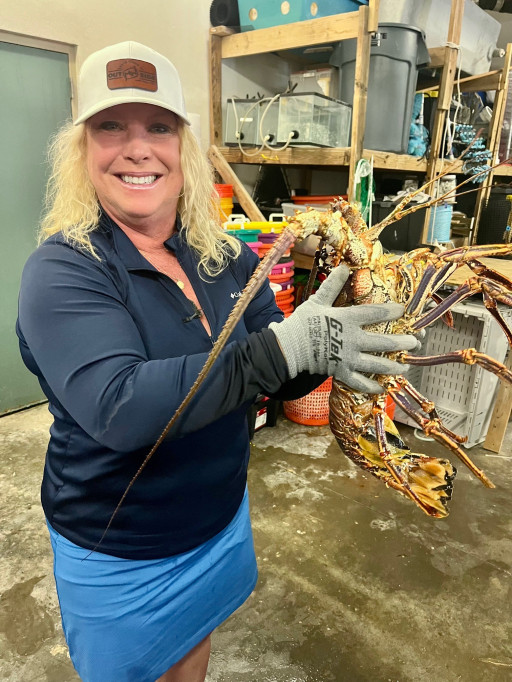 Live Wildly Teams Up With Discovery Channel's Misty Wells to Explore the Sights, Sounds and Unique Species of the Florida Keys