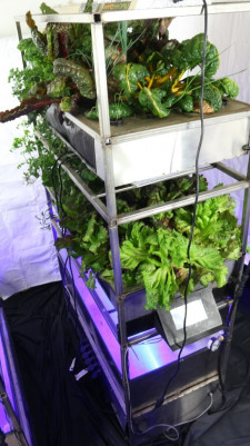 Eden Grow Systems